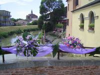 <p> Rocca in fiore 2013 - Canale                                                                                                  </p>